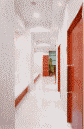 ҍ